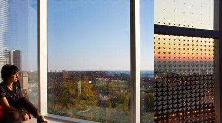 3 effective ways to prevent birds from colliding into glass
